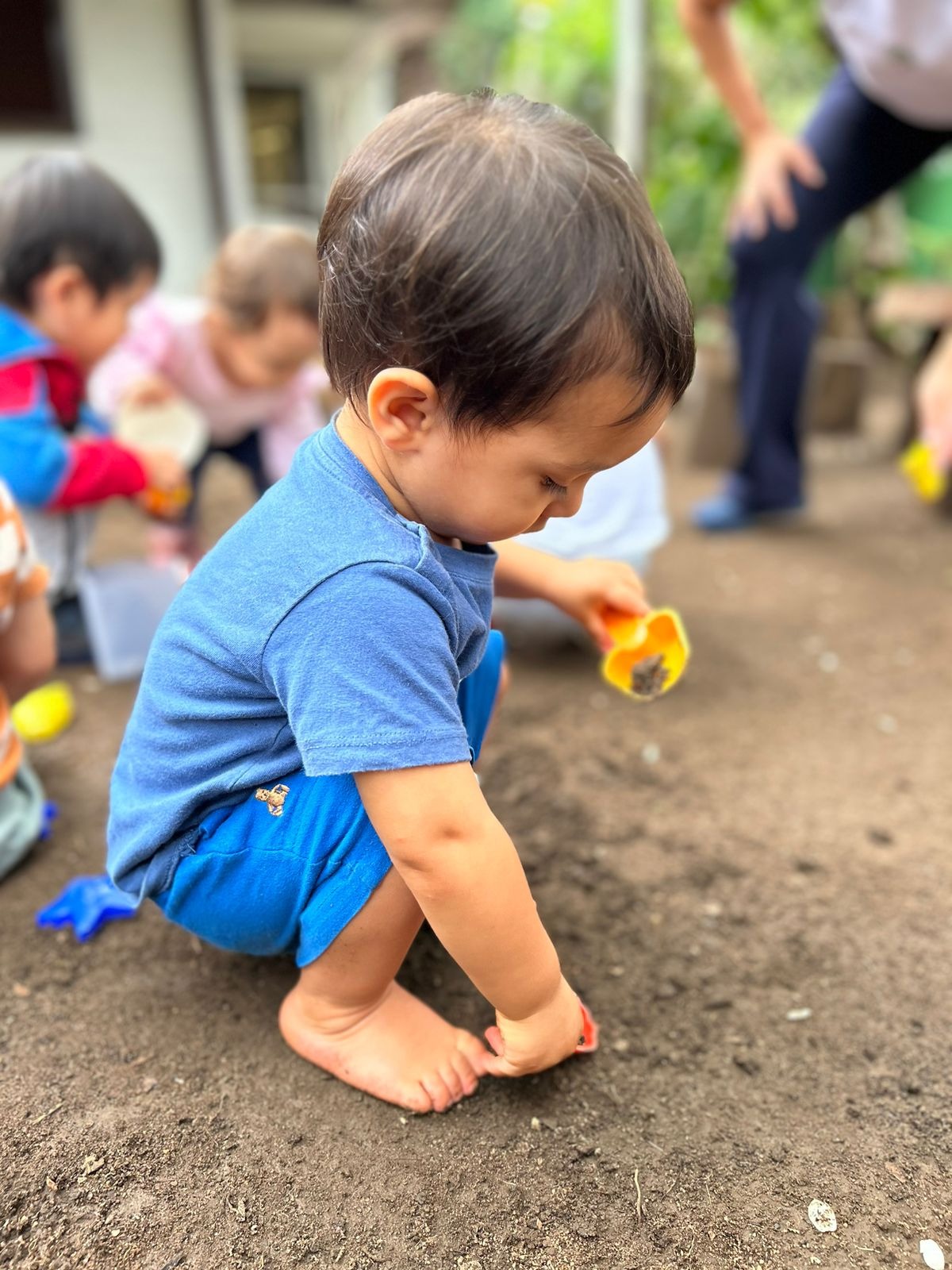 Criança explorando folhas de bananeira no quintal da escola