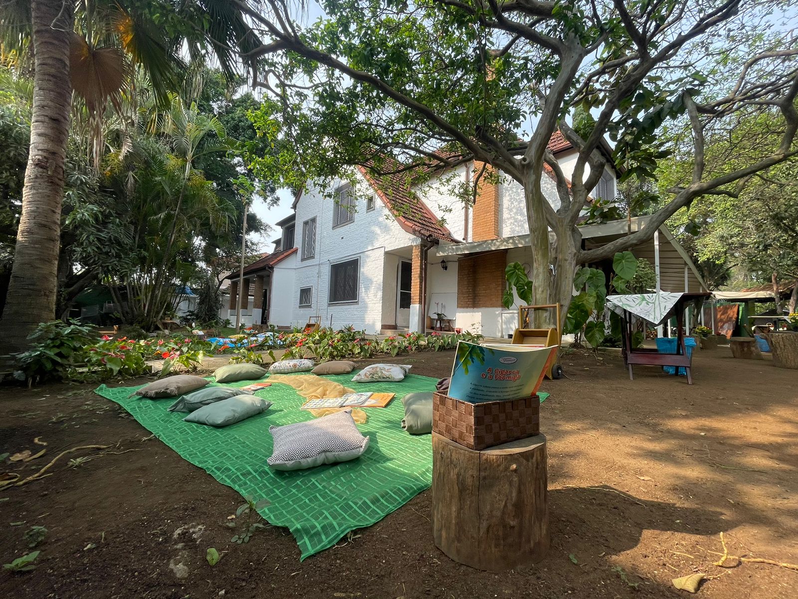 Roda de tapete com almofadas, pedras, pinhas e materiais naturais